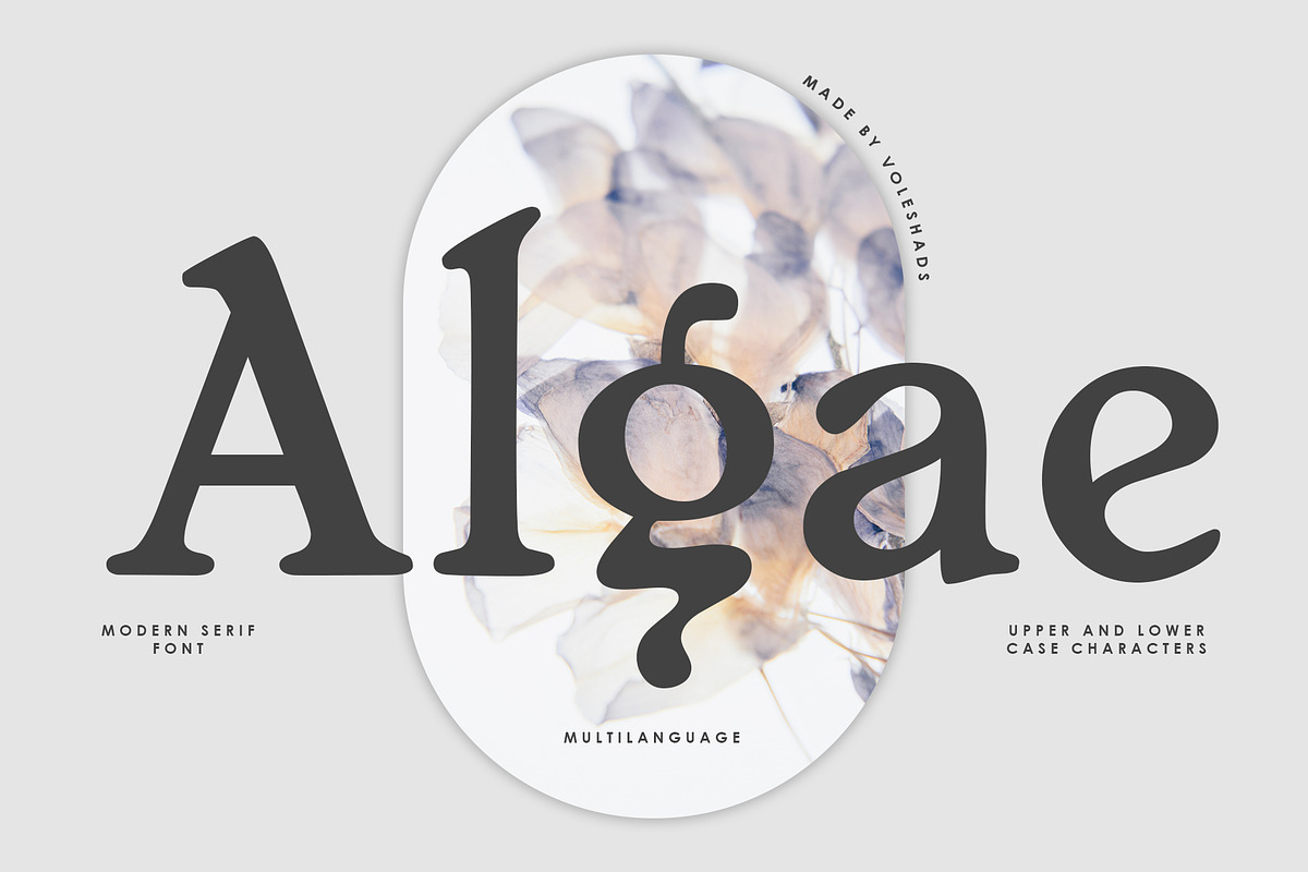 Algae Modern Serif Font, a Serif Font by Voleshads (Photo 1 of 9)