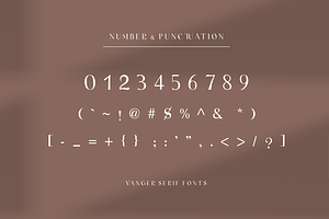 Vanger _ Modern Serif Font