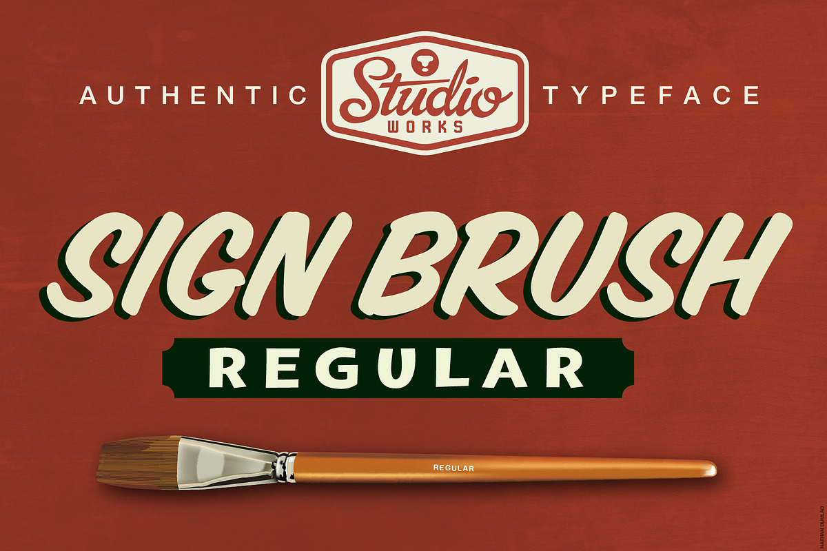 Sign Brush Regular | Display Type, a Script Font by StudioWorks (Photo 1 of 8)