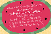Watermelon Squeeze, a Sans Serif Font by Affinity Grove (Thumbnail 5 of 12)