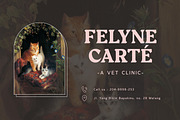 SS Langford - Display Vintage Font, a Serif Font by Typocracy Studio (Thumbnail 11 of 12)