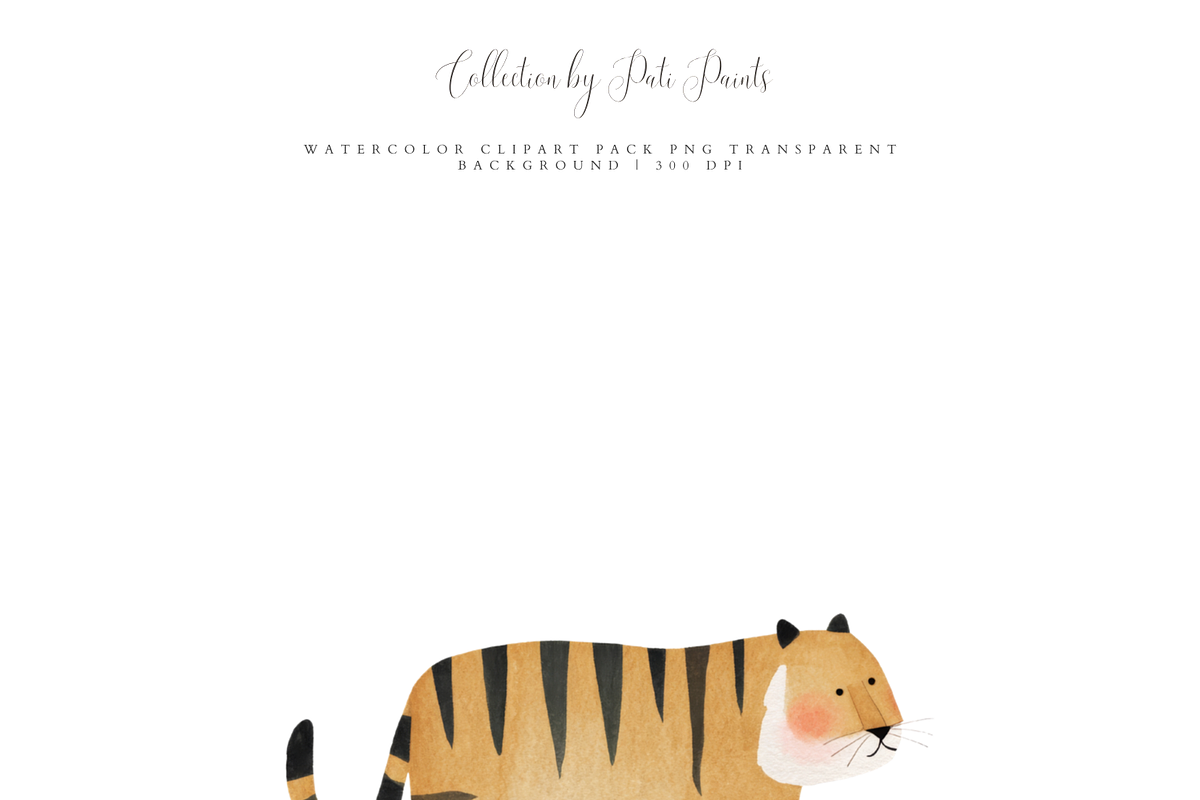 Tiger Clipart Set, a Decorative Illustration by Pati Paints (Photo 3 of 11)
