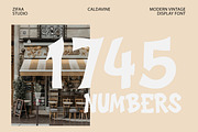 Caldavine Display, a Serif Font by Eltypesstudio (Thumbnail 7 of 10)