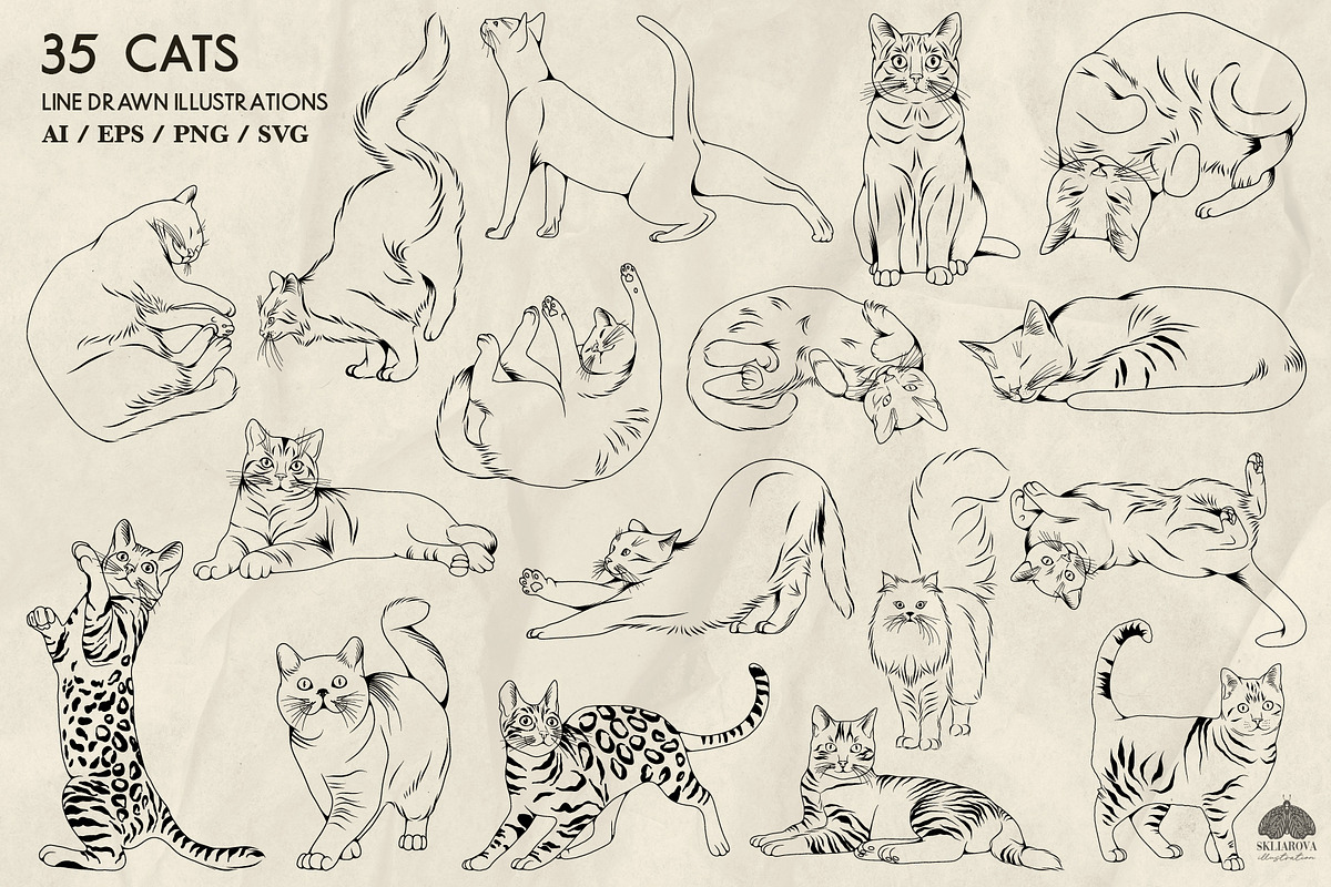 Cats Line Art + Procreate, an Animal Illustration by Skliarova (Photo 2 of 3)