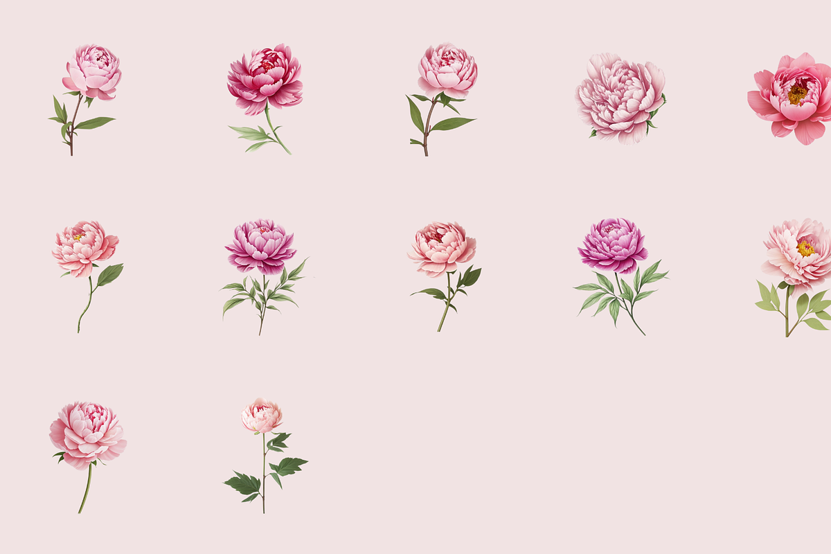 72 Watercolor Peonies Flower Clipart, a Graphic by Graphicspixel (Photo 6 of 10)