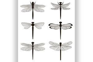 Set Of Silhouettes Of Dragonflies