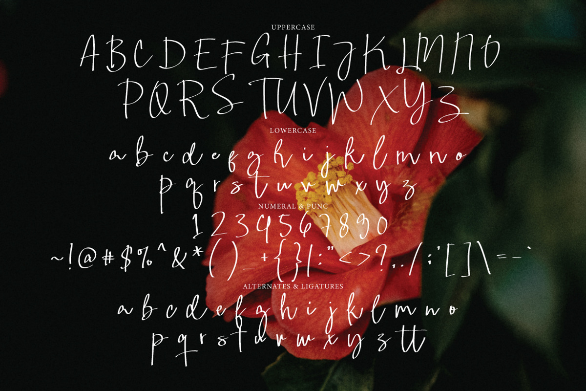 Famous Voice - Casual Signature, a Handwritten Font by tebaltipislab (Photo 5 of 8)