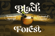 Retrofly A Retro Serif, a Serif Font by Annivers Type (Thumbnail 3 of 10)