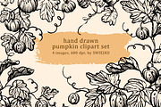 Hand drawn pumpkin illustration, a Decorative Illustration by swiejko (Thumbnail 1 of 6)