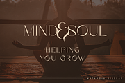 Metanoia - Display Font, a Serif Font by Only Fonts (Thumbnail 4 of 11)