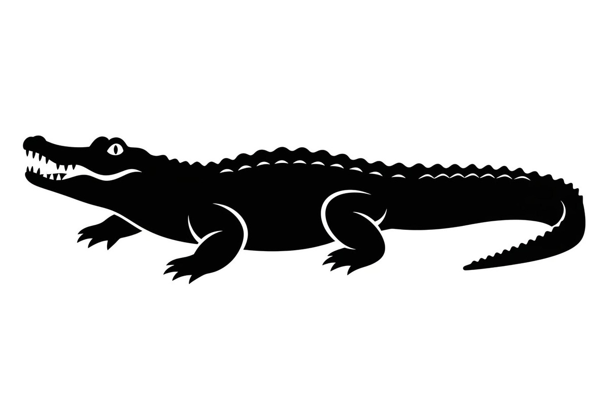 Crocodile Alligator Vector Bundle, an Illustration by jahid234 (Photo 36 of 51)