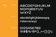Monetic - Modern Sans Serif Family, a Sans Serif Font by Indotype Foundry (Thumbnail 4 of 10)