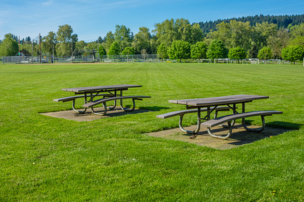 Picnic Tables In Public Park Stock Photo Containing Park And Grass preview 6