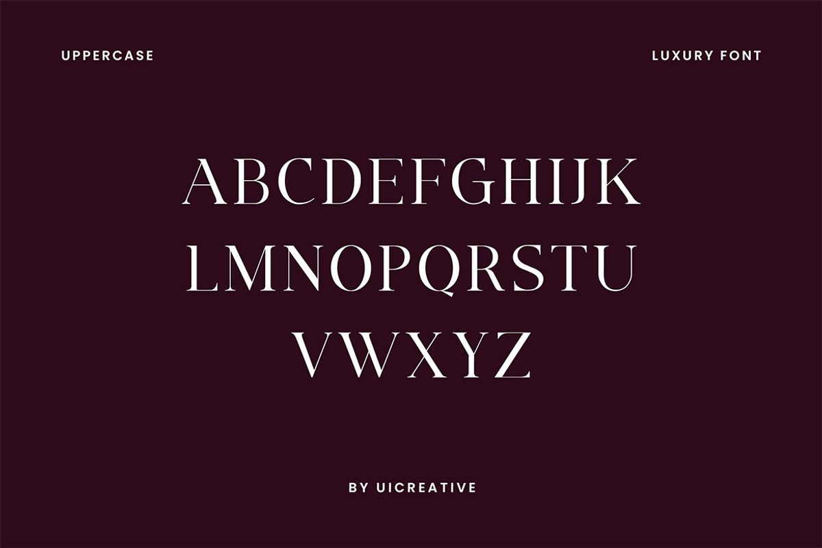 Ignacio Maverick Elegant Serif Font, a Serif Font by UICreative (Photo 4 of 13)