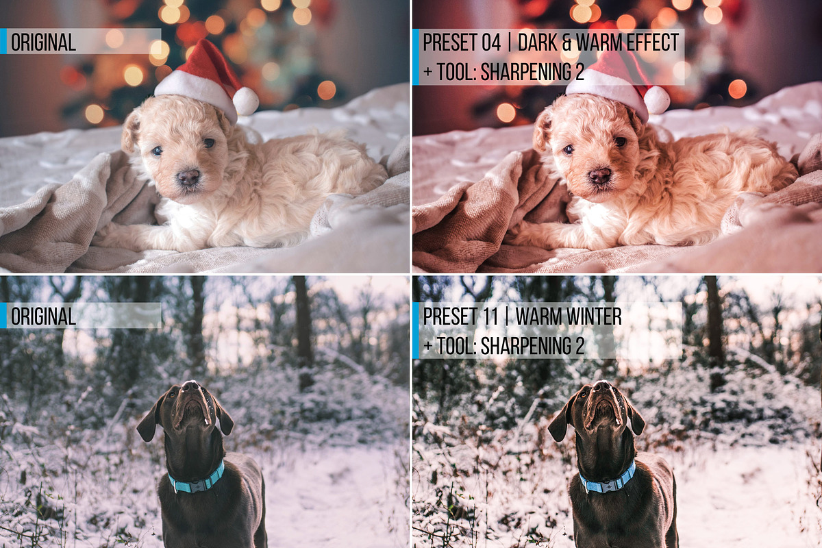 54 Winter Lightroom Presets preview 6
