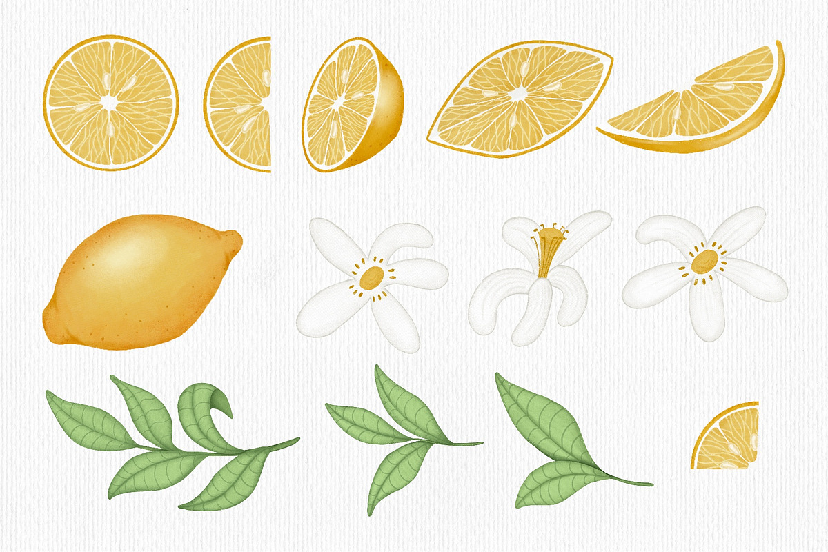 Lemon, a Decorative Illustration by Iryna Mel (Photo 3 of 7)