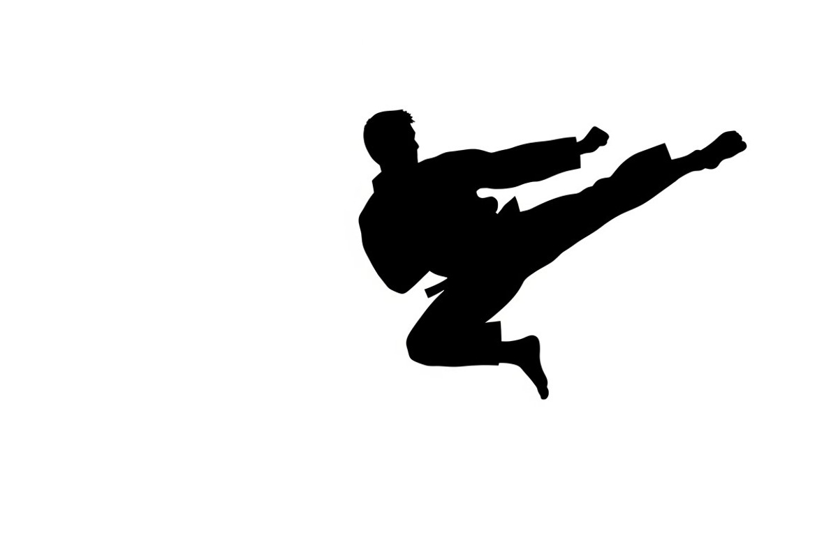 Dynamic martial arts kick silhouette, a Graphic by Amazin_art (Photo 30 of 36)