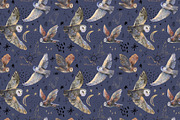 Magic owls: 280 elements for design, an Animal Illustration by Shusha Guna Art (Thumbnail 10 of 23)