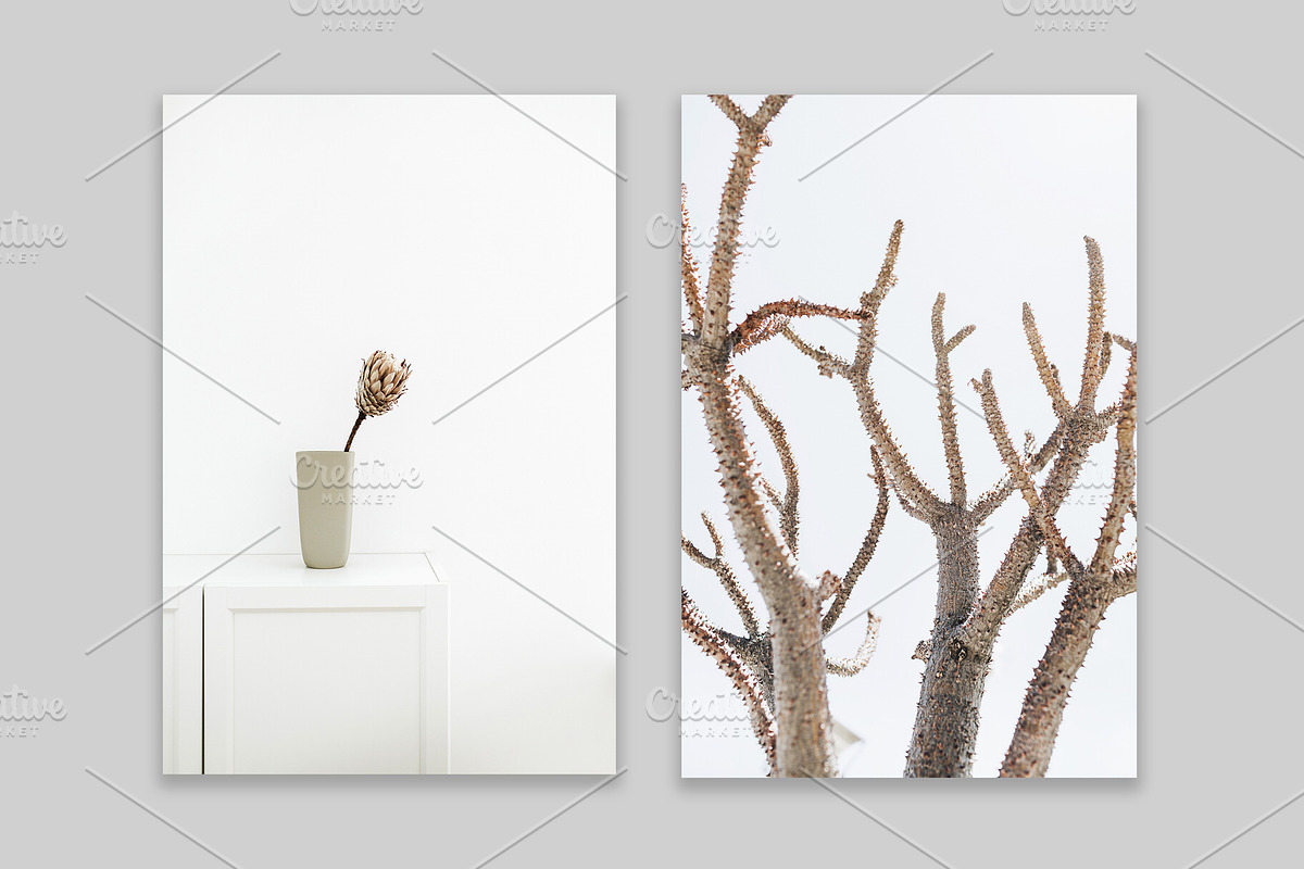 Lifestyle Bundles Collection 4, a Beauty & Fashion Photo by Floral Deco (Photo 16 of 66)