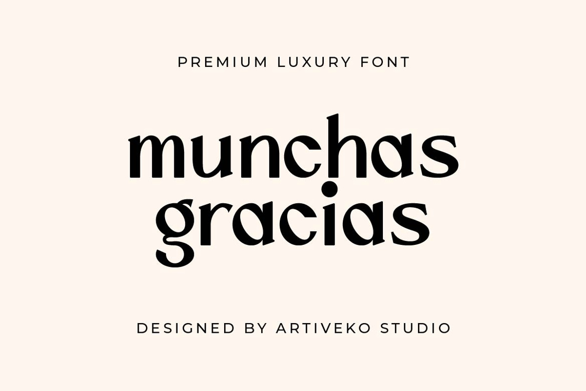 Vengance Luxury Sans Serif, a Sans Serif Font by Artiveko (Photo 6 of 6)