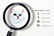 39 Realistic Watercolor Cat Portrait, an Animal Illustration by ArtbyHien (Thumbnail 2 of 8)