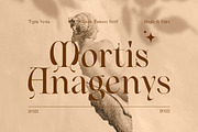 Angle & Fairy Serif, a Serif Font by Typia Nesia (Thumbnail 7 of 17)