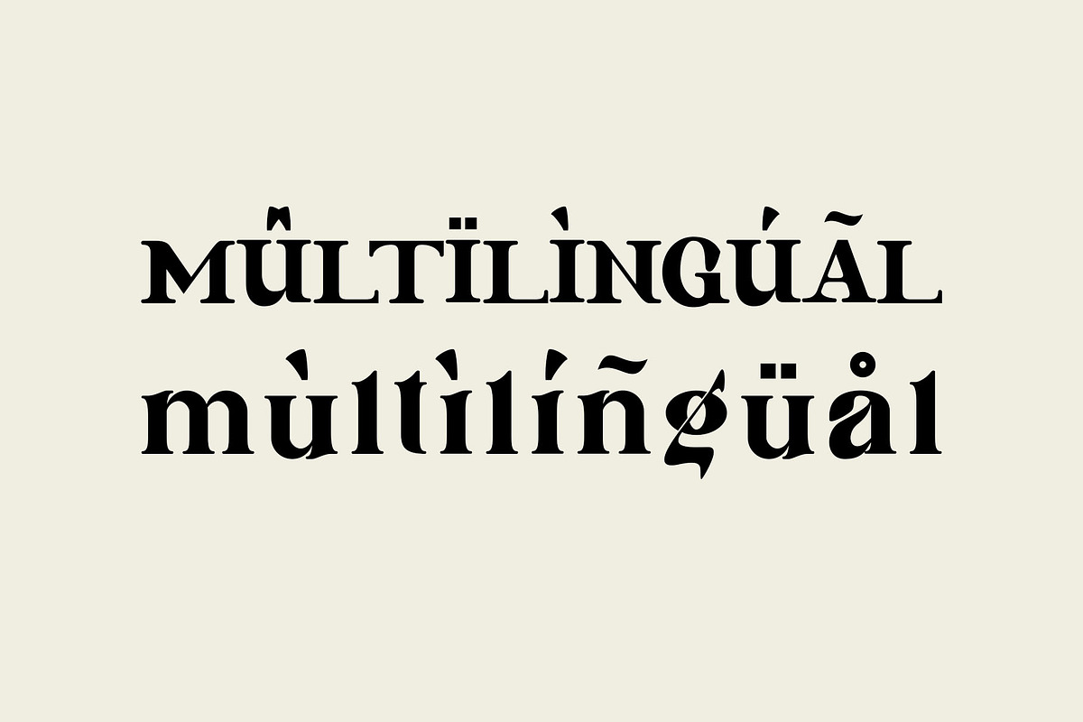 Bincal Ligature Serif Typeface, a Serif Font by Humaira_std (Photo 8 of 8)