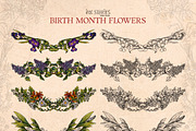 Birth Month Flowers Handcrafted, a Decorative Illustration by Ink Stories (Thumbnail 12 of 15)