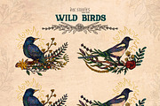 Wild Birds, an Animal Illustration by Ink Stories (Thumbnail 15 of 20)