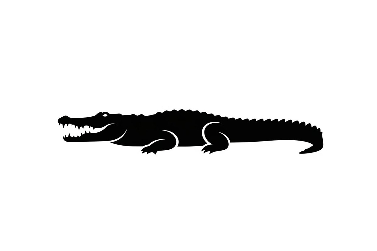 Crocodile Alligator Vector Bundle, an Illustration by jahid234 (Photo 27 of 51)