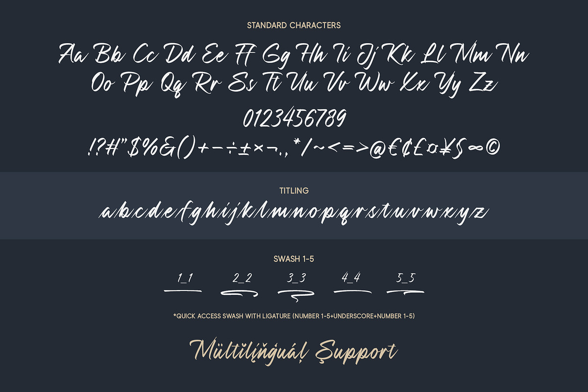 Mountisa | Handwritten Font, a Script Font by Lemonthe (Photo 7 of 7)