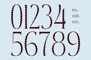 Baige Distort, a Serif Font by Craft Supply Co. (Thumbnail 6 of 8)