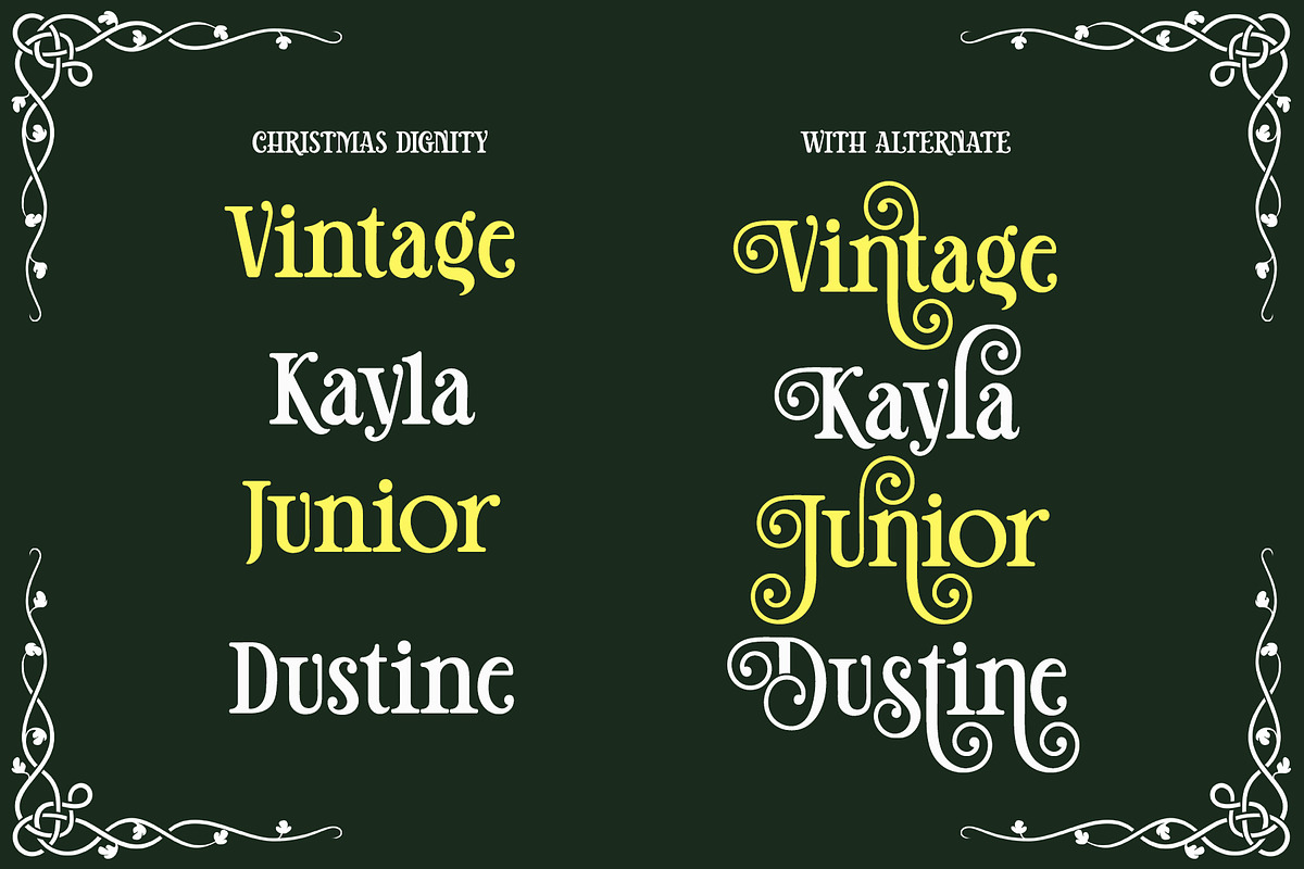 Christmas Dignity - Swirl Serif Font, a Serif Font by Airotype (Photo 3 of 15)
