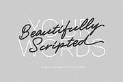 Marielle Brush Script, a Handwritten Font by Letterhend Studio (Thumbnail 2 of 10)