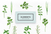 Watercolor Culinary Herbs, an Object Graphic by Kotulska (Thumbnail 2 of 4)