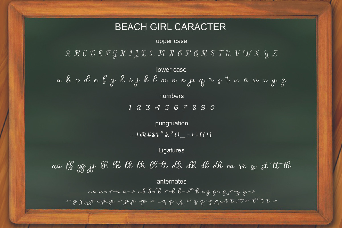 Beach Girl Script, a Script Font by balstudio (Photo 4 of 7)