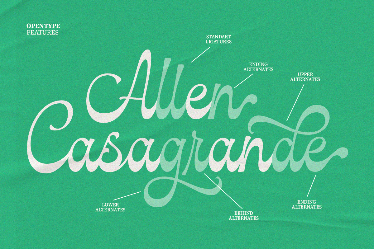 Cavani, a Script Font by Soft Creative (Photo 5 of 13)