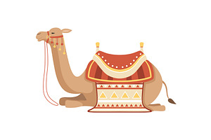 Lying Camel, Two Humped Desert, an Animal Illustration by TopVectors