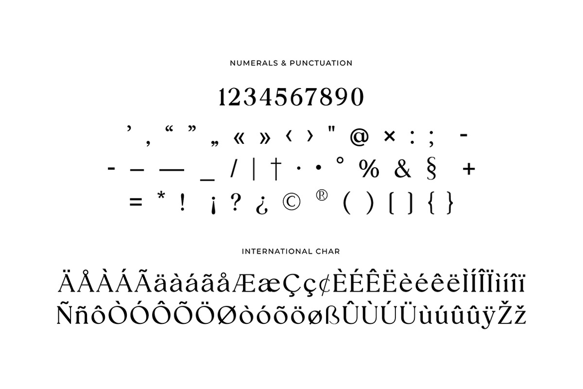 Ariane Coachella Elegant Serif Font, a Serif Font by UICreative (Photo 5 of 13)