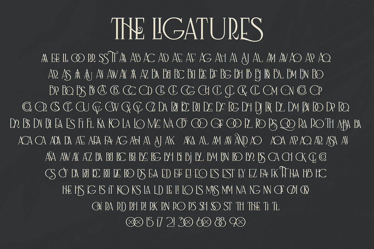 Nagara Typeface (Roman & Script) preview 8