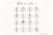 Botanical Clip art Floral vector, an Illustration by DigitalArsiart (Thumbnail 1 of 6)