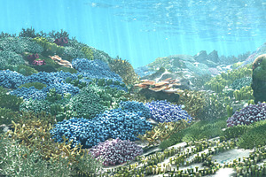 3D Cartoon Underwater Coral Reef Hab