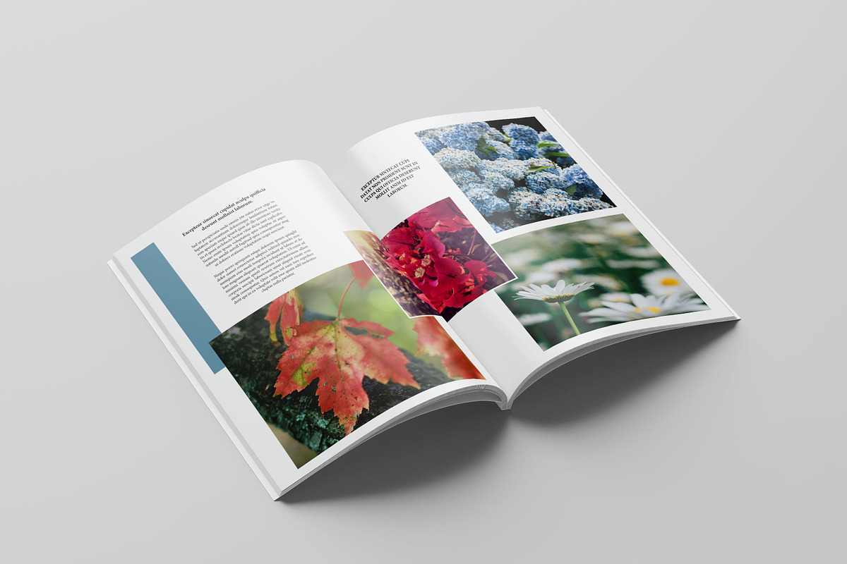 Portfolio Template, a Brochure Template by retrographix (Photo 7 of 13)