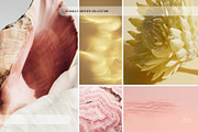 Soft Pastel Stock Photos Bundle 280, a Nature Photo by Tale.Haus (Thumbnail 14 of 19)