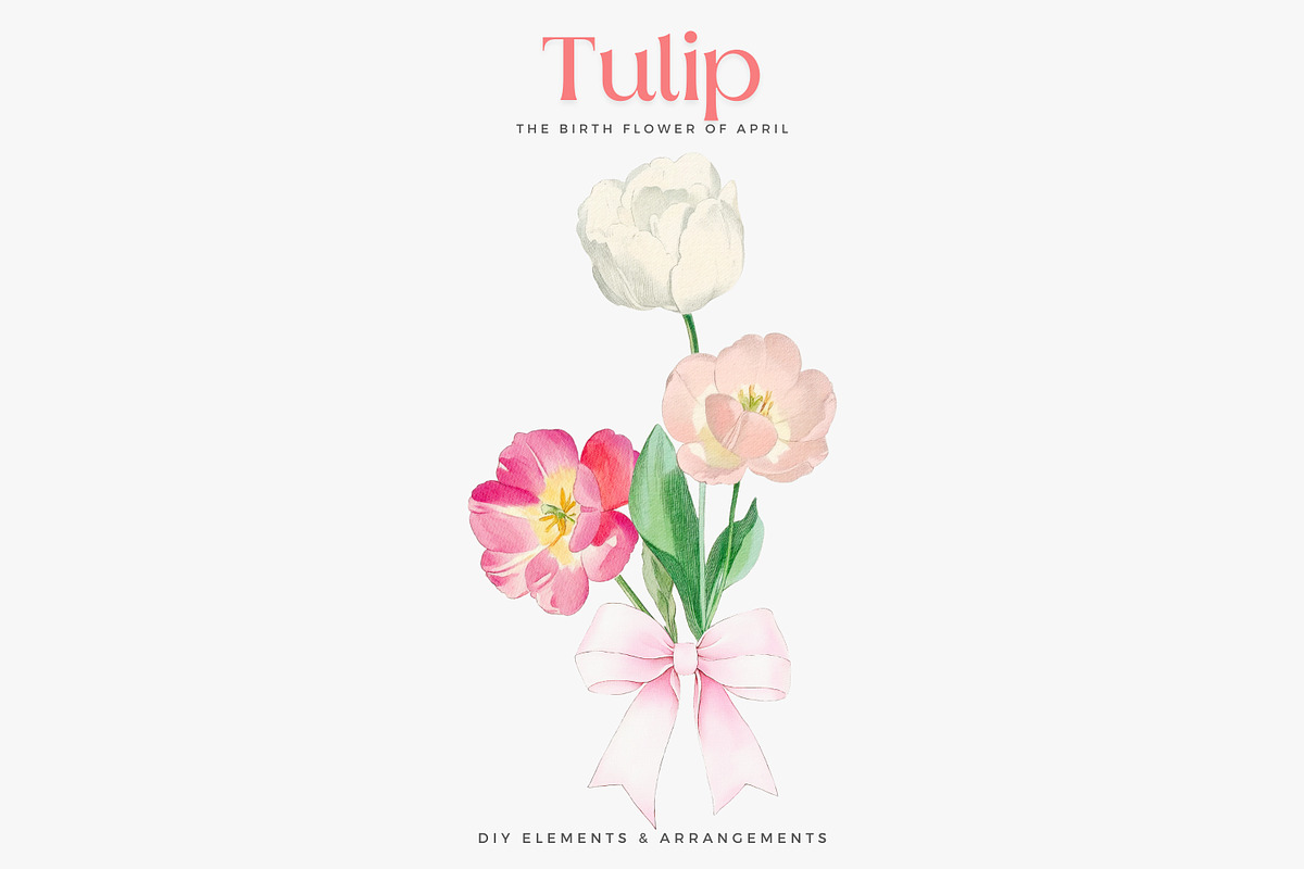 watercolor clipart tulip set, a Decorative Illustration by Patishop Art (Photo 6 of 11)