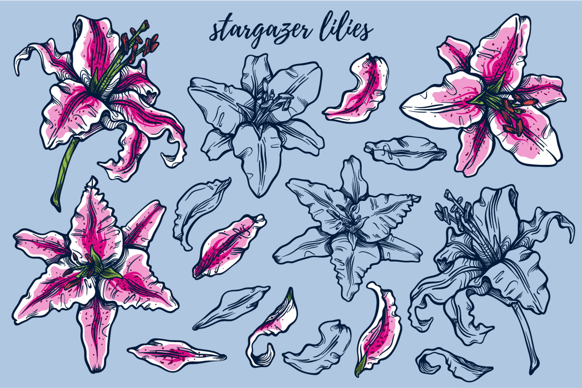Fancy Florals, an Illustration by melissadn (Photo 3 of 7)