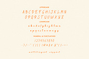 Reposida Brush Font, a Script Font by Hishand Studio (Thumbnail 6 of 8)