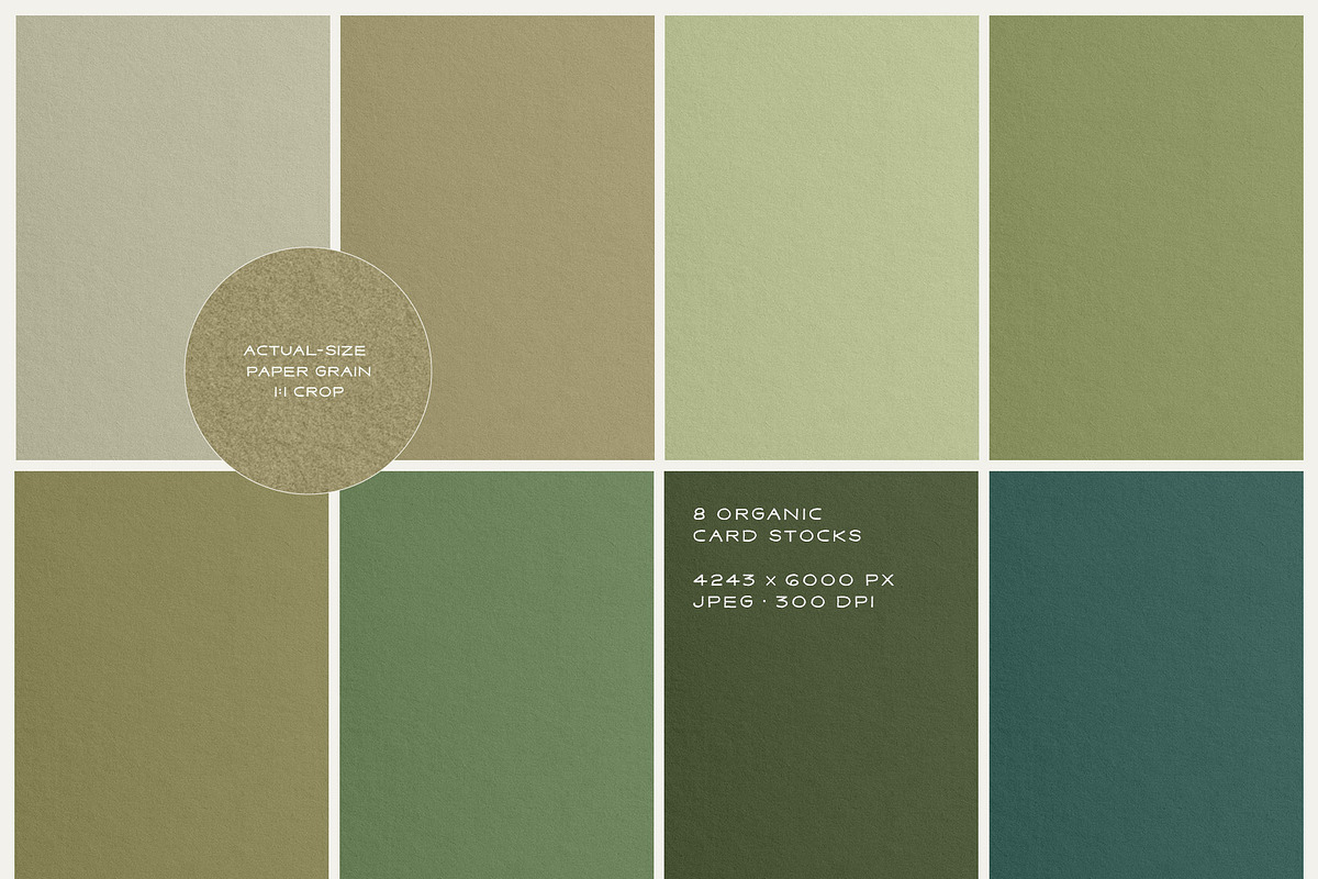 Veine Verte Botanical Backgrounds, a Background Graphic by alonahaidash (Photo 14 of 20)