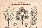House Plants, an Object Illustration by Ink Stories (Thumbnail 7 of 23)