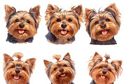 Watercolor Yorkie Dog Clipart Bundle, an Animal Illustration by Design Scotch (Thumbnail 3 of 8)